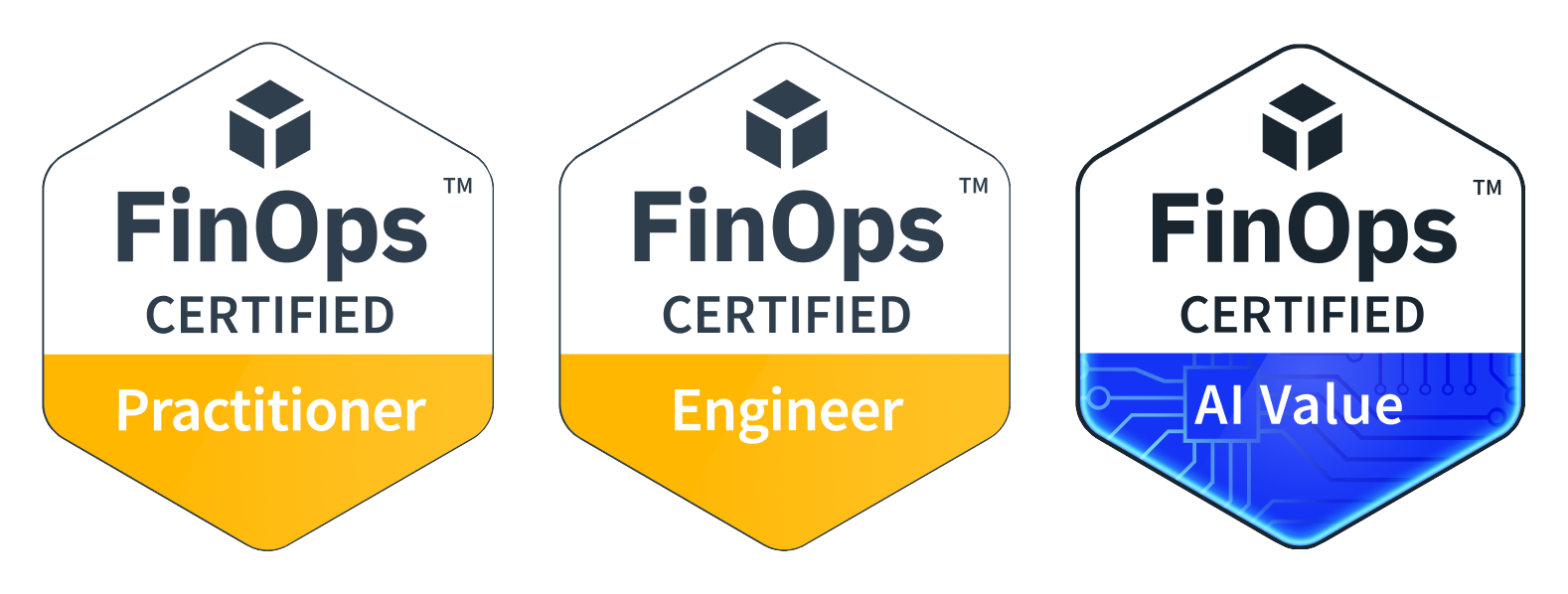 FinOps Certified team